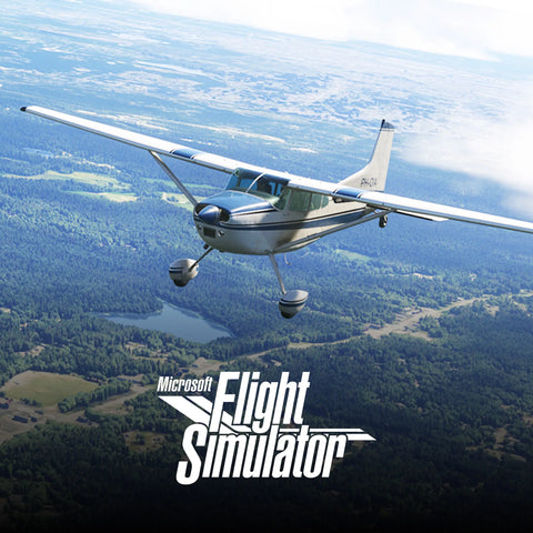COMPATIBILE WITH MSFS 2024 & 2020